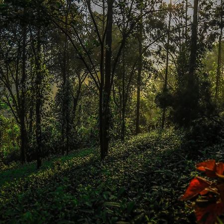 Southern Panorama Indriya Resorts & Spa Munnar Luaran gambar