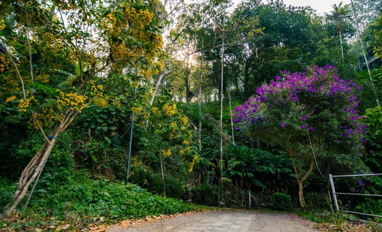 Southern Panorama Indriya Resorts & Spa Munnar Luaran gambar