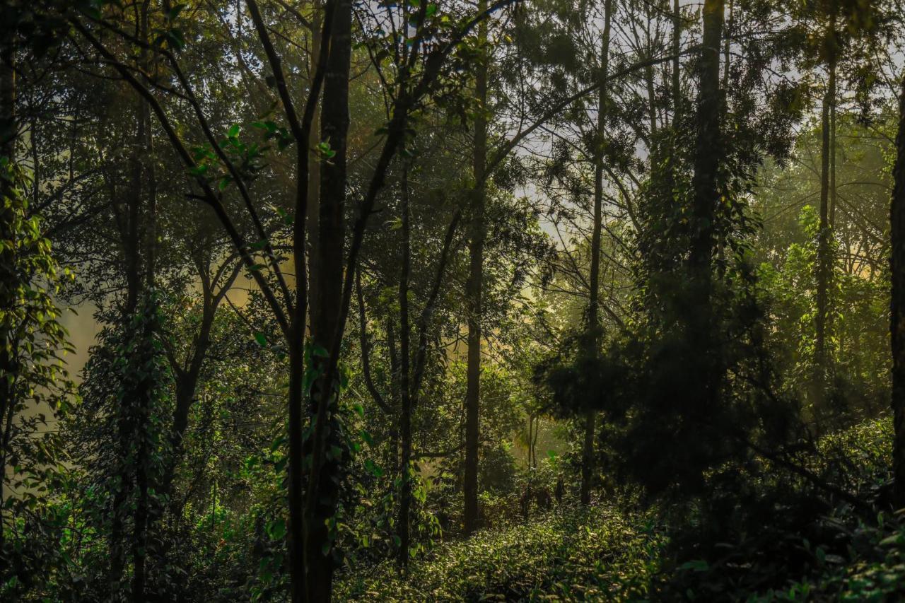 Southern Panorama Indriya Resorts & Spa Munnar Luaran gambar