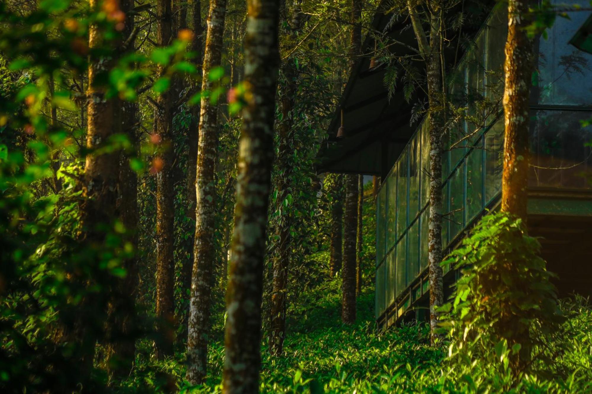 Southern Panorama Indriya Resorts & Spa Munnar Luaran gambar
